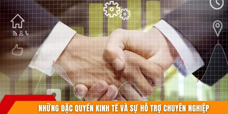 Những đặc quyền kinh tế và sự hỗ trợ chuyên nghiệp
