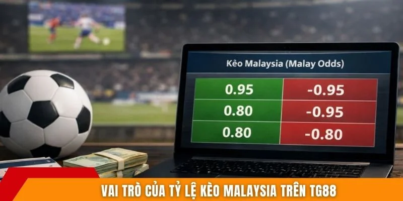 Vai trò của tỷ lệ kèo Malaysia trên TG88